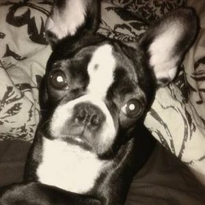 Meet your Posher, Walter